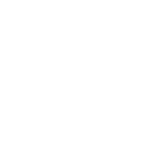 beer icon